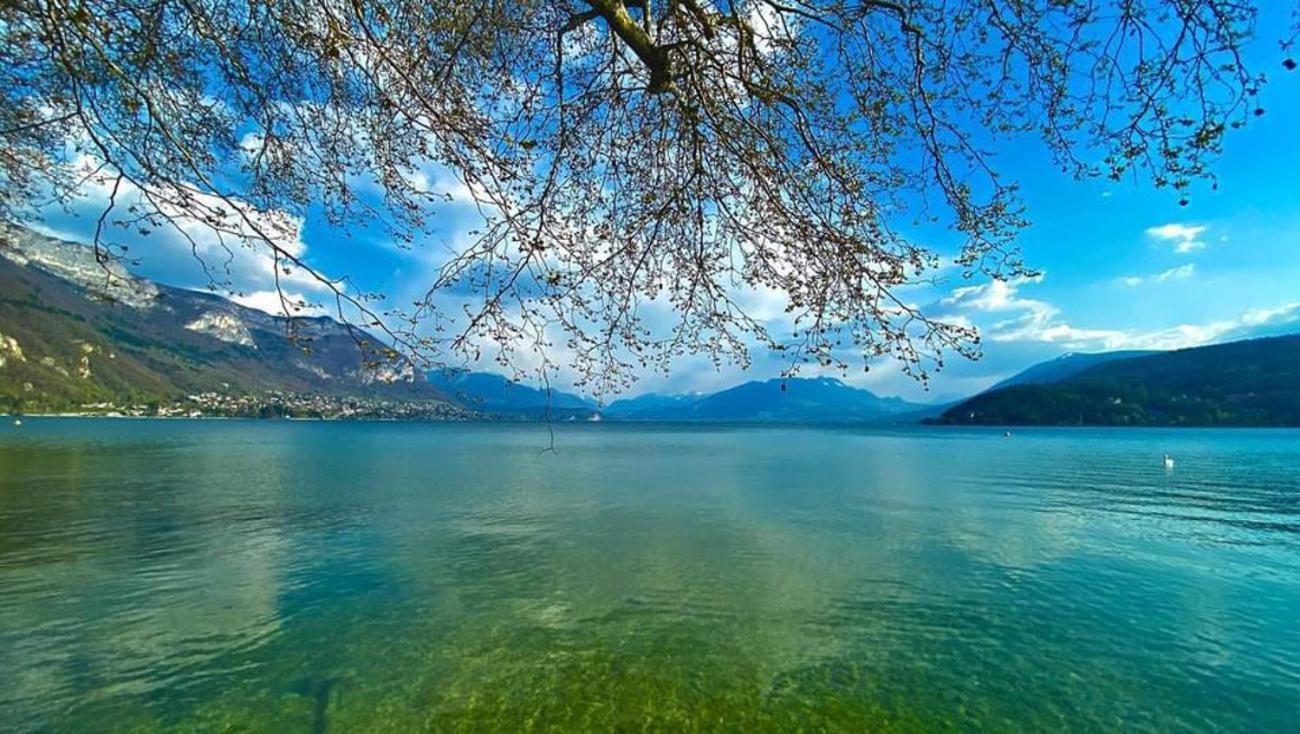 L'Echappee Du 36 - 4 Chambres Dans Le Triangle D'Or A 100M Du Lac, Parking Gratuit Annecy Kültér fotó