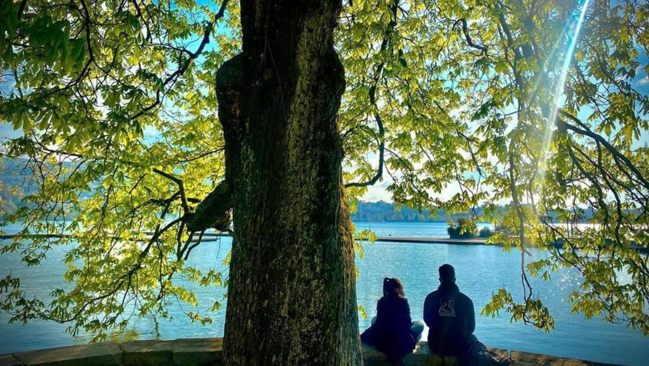 L'Echappee Du 36 - 4 Chambres Dans Le Triangle D'Or A 100M Du Lac, Parking Gratuit Annecy Kültér fotó