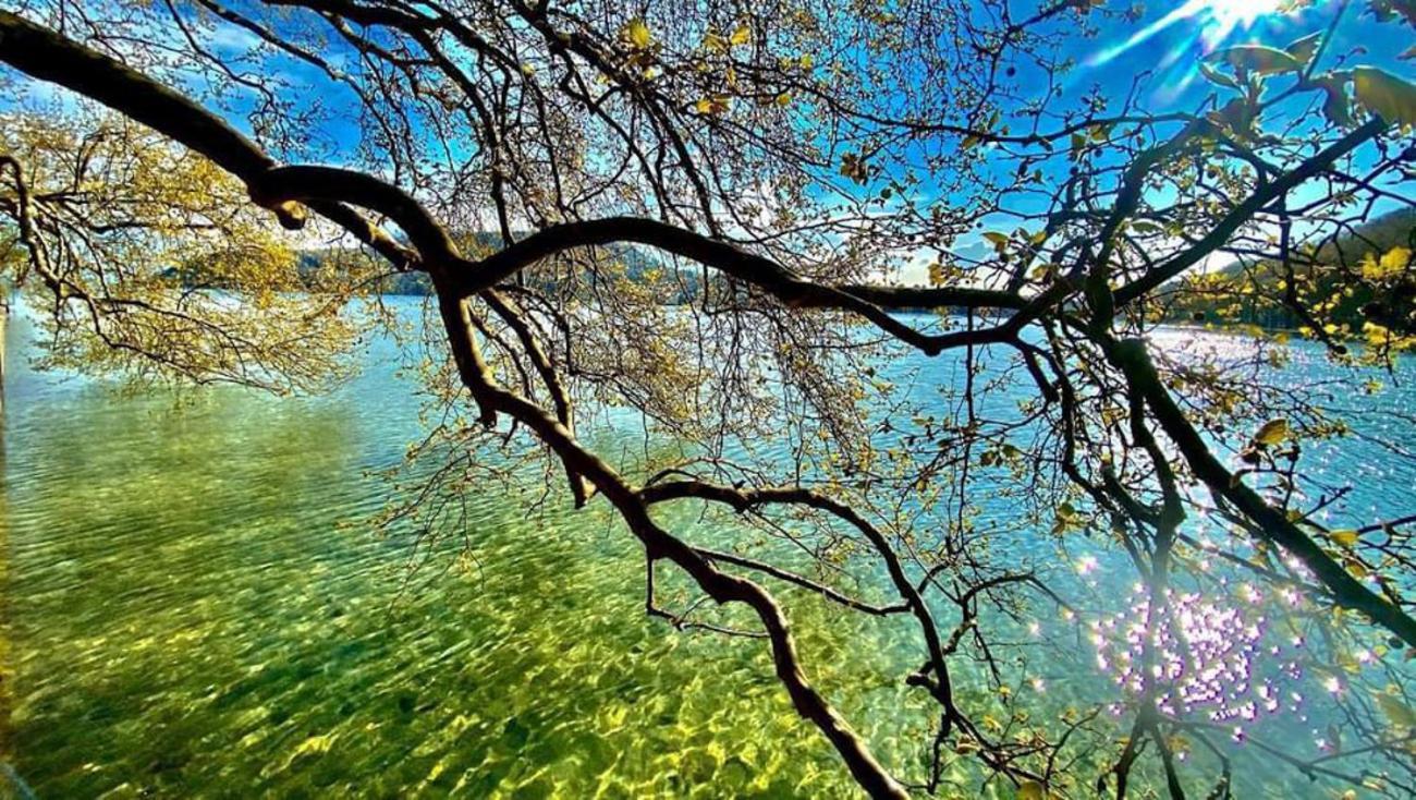 L'Echappee Du 36 - 4 Chambres Dans Le Triangle D'Or A 100M Du Lac, Parking Gratuit Annecy Kültér fotó